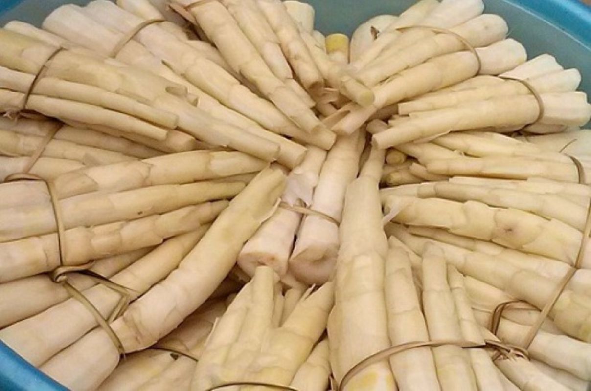 Dive into the authentic flavors of Mai Chau Travel