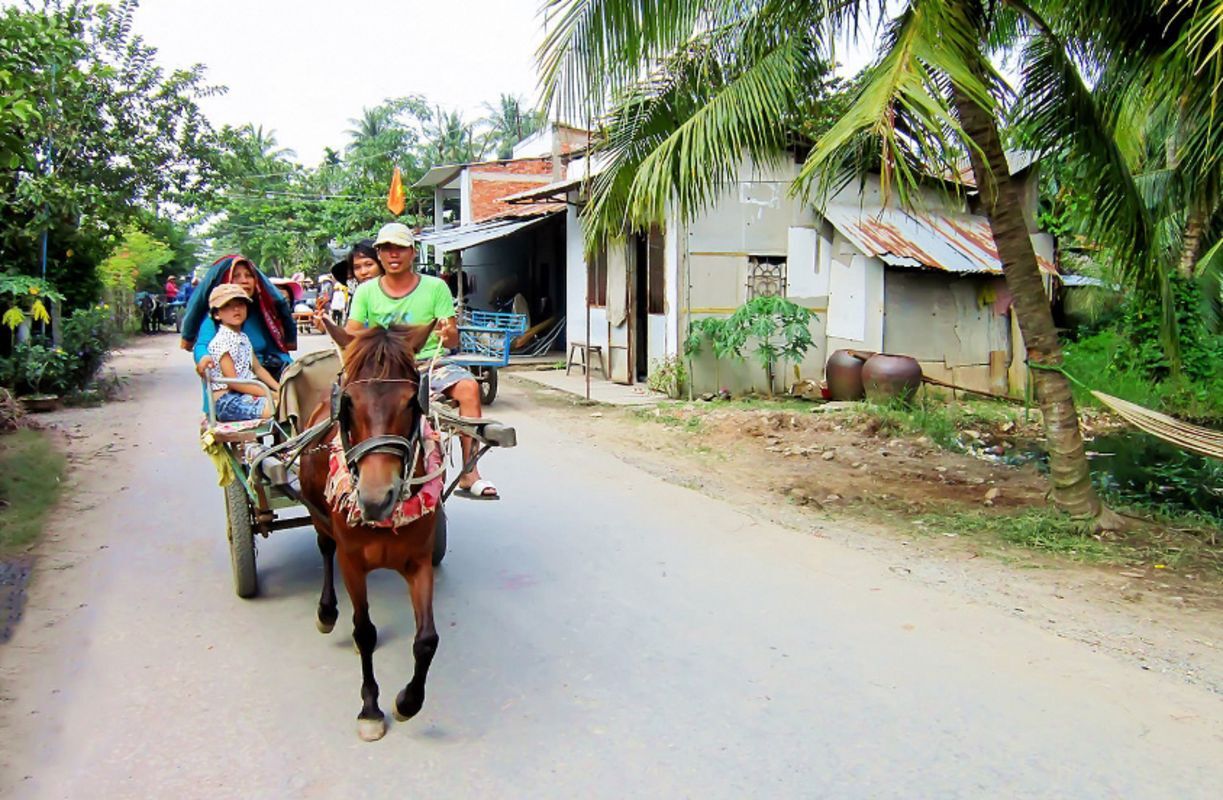 Capture the serene beauty of Ben Tre’s waterways