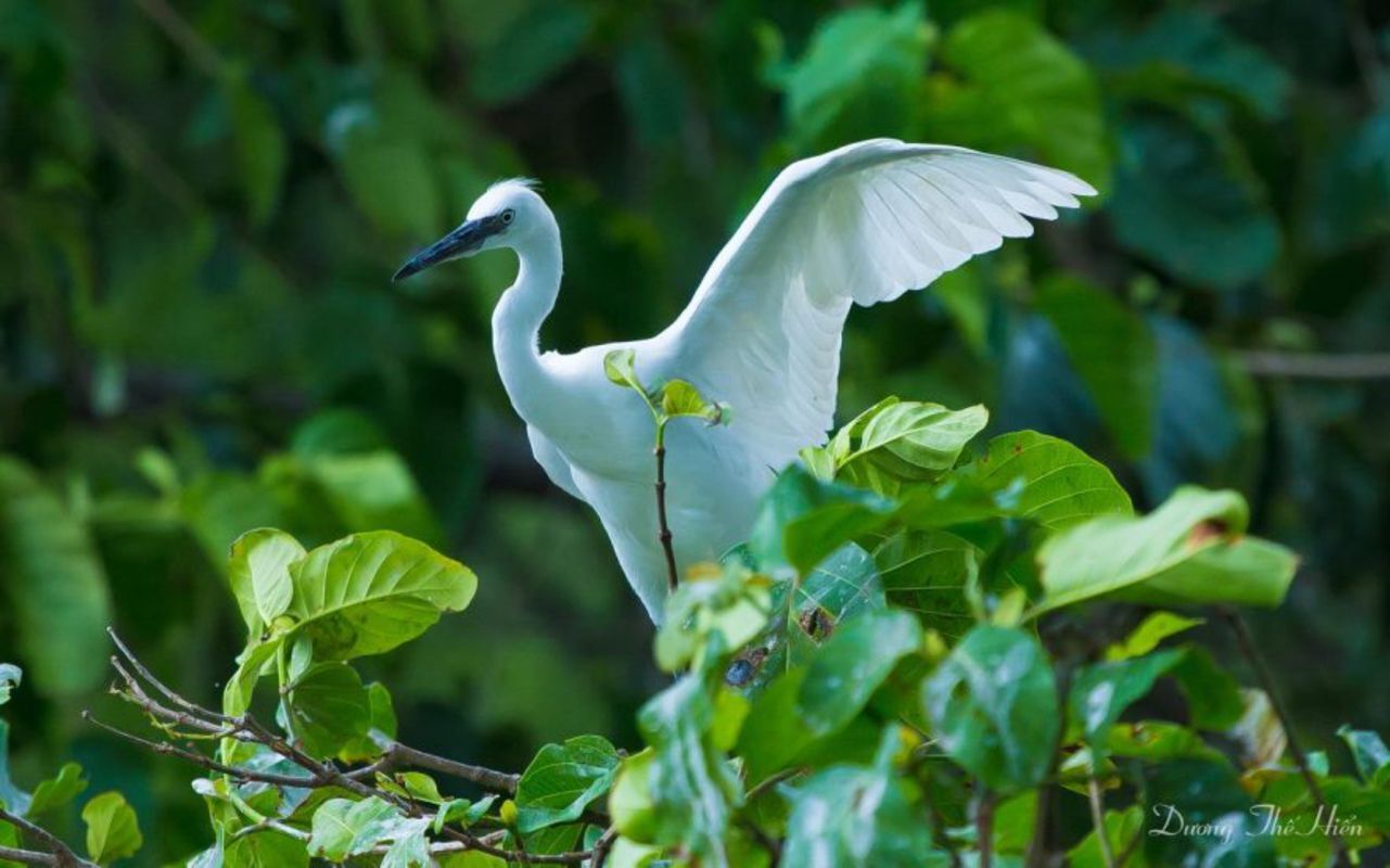 Start your Ben Tre Travel with tranquil vistas
