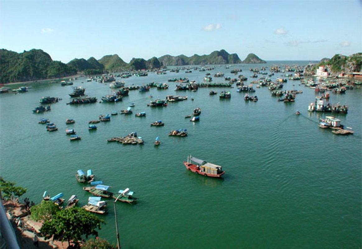 Capture the authentic charm of Cat Ba’s culture