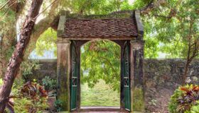Dive into the authentic charm of Ninh Binh Travel