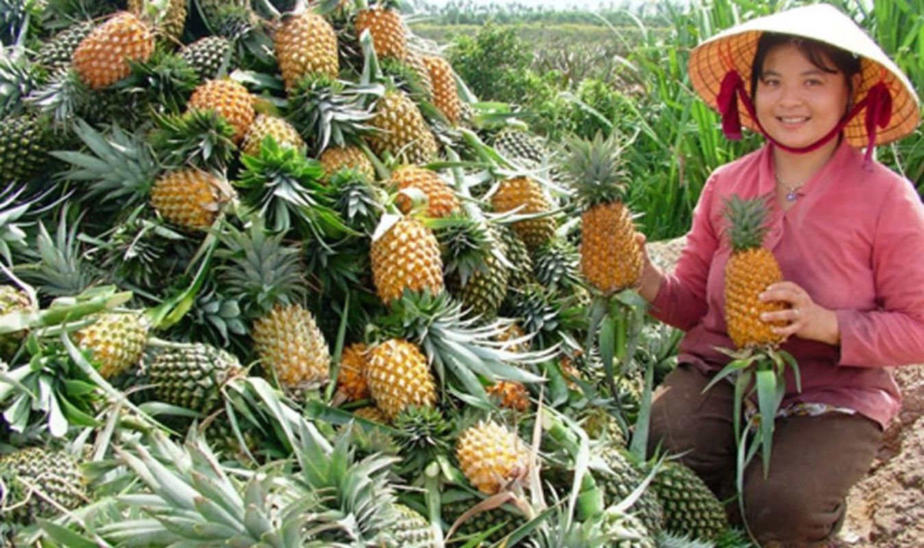 Experience Hau Giang Tours with sustainable adventures