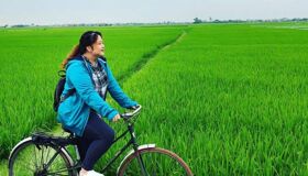 Dive into the scenic charm of Thai Binh Travel