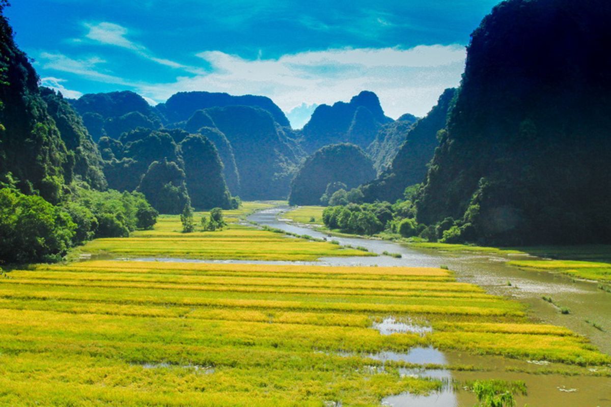 Photograph the vibrant allure of Ninh Binh’s landscapes
