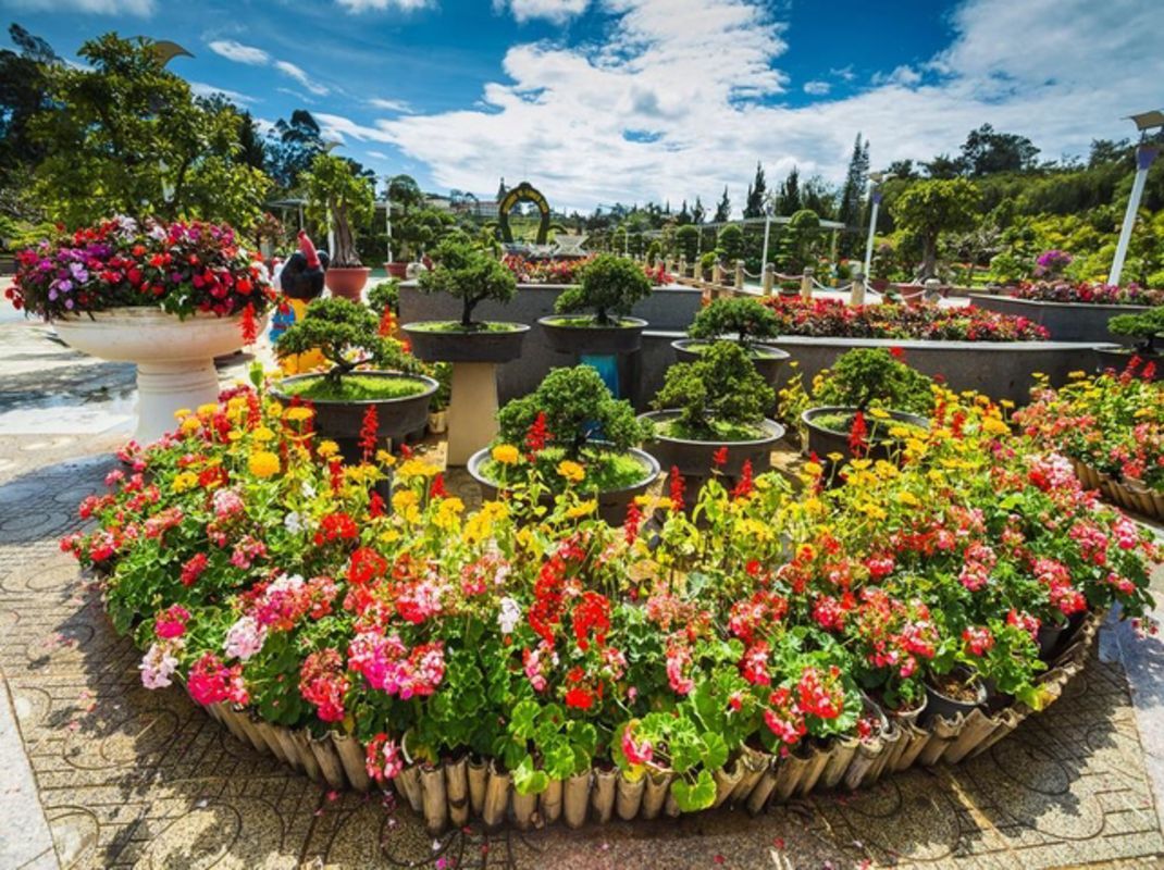 Capture the authentic charm of Da Lat’s romance