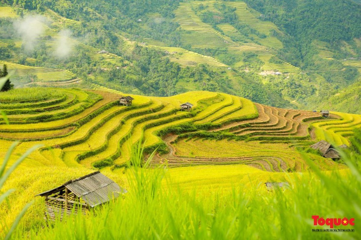 Dive into the festive charm of Ha Giang Travel