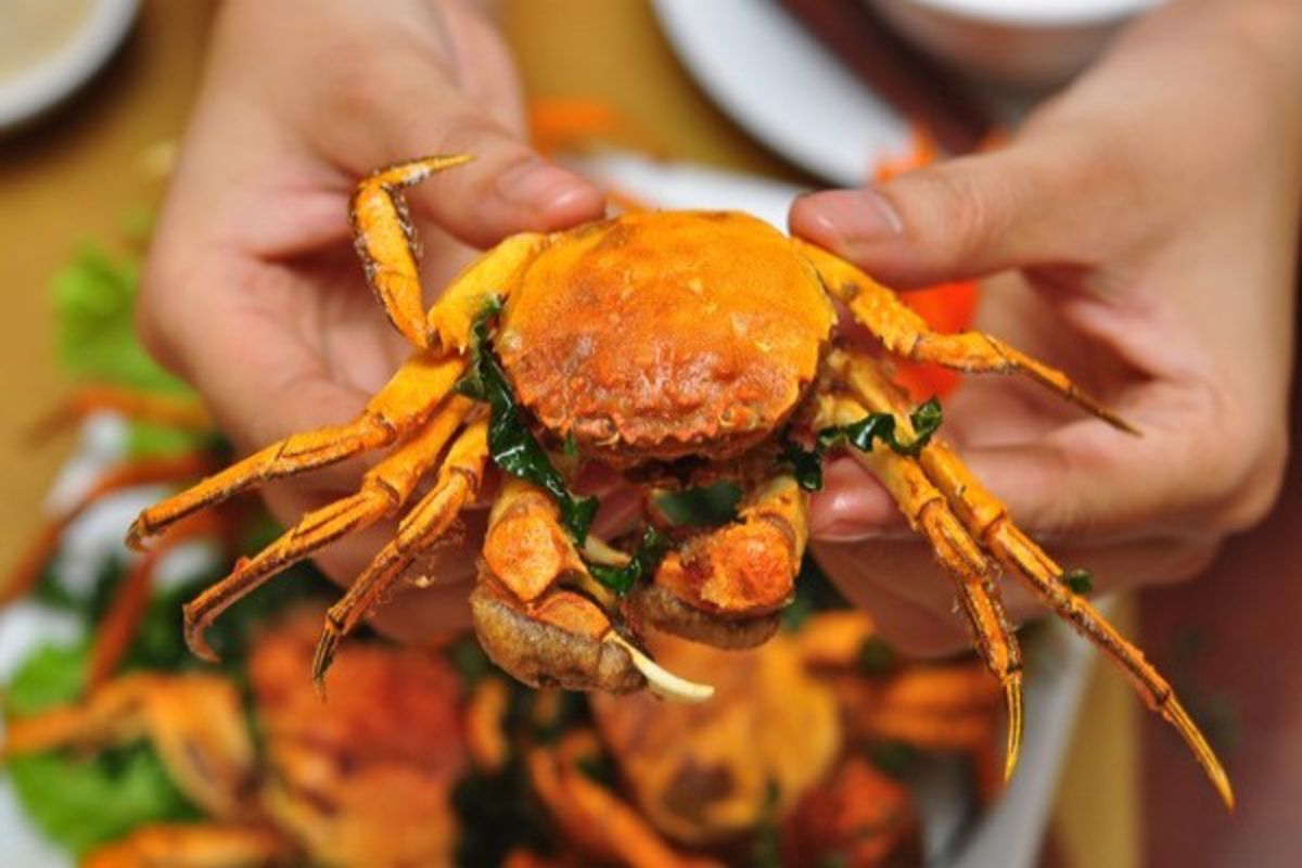 Dive into the vibrant flavors of Hung Yen Travel