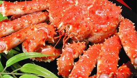 Dive into the vibrant flavors of Phu Yen
