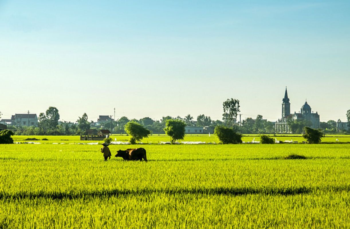 Start your Thai Binh Travel with serene vistas