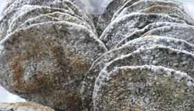 Capture the crispy essence of Ha Tinh’s culinary gem