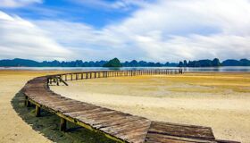 Capture the iconic beauty of Halong Bay’s UNESCO gem