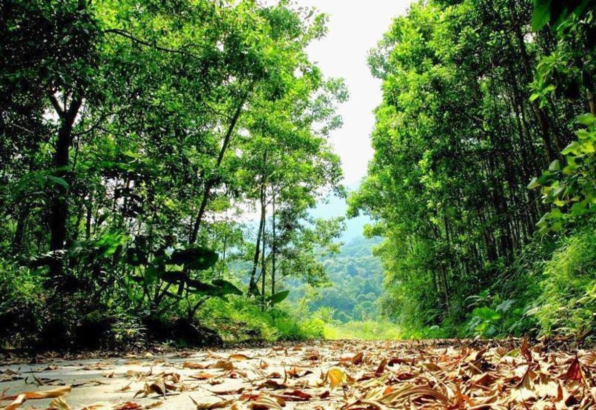 Dive into the tranquil charm of Hanoi Travel