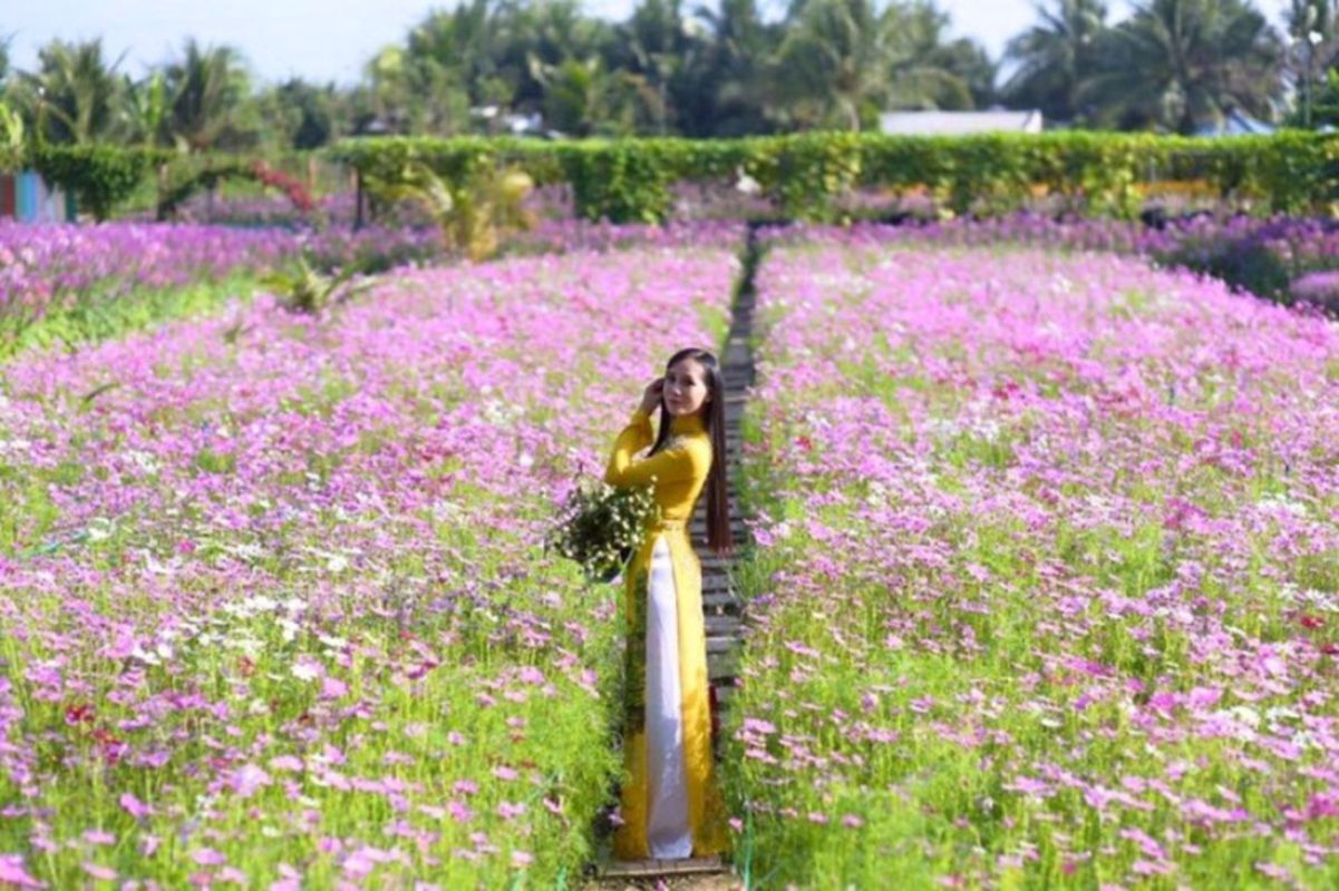 Photograph the natural allure of Mãn Đình Hồng’s gardens