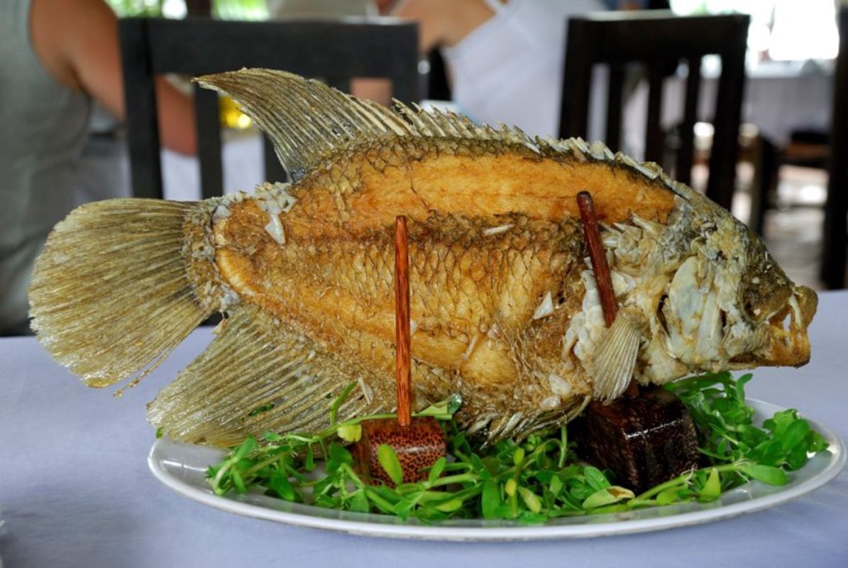Dive into the vibrant flavors of Vinh Long Travel