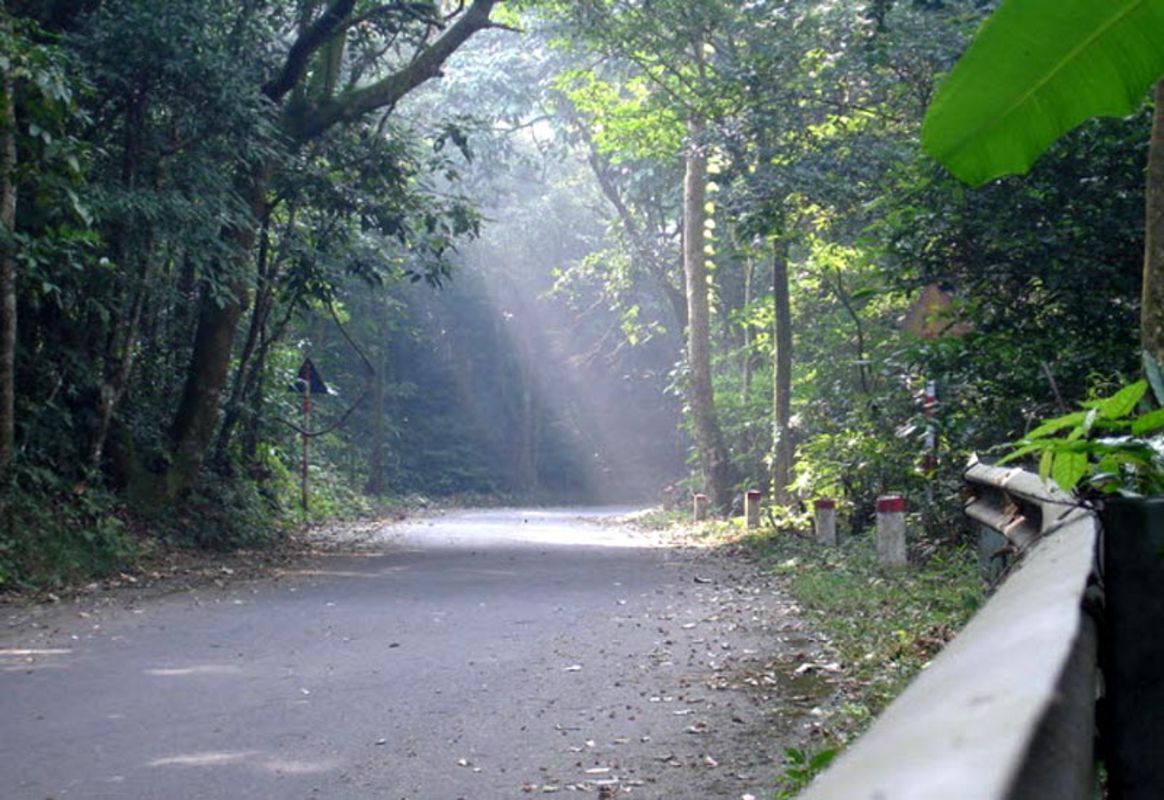 Experience Hanoi Tours with sustainable adventures