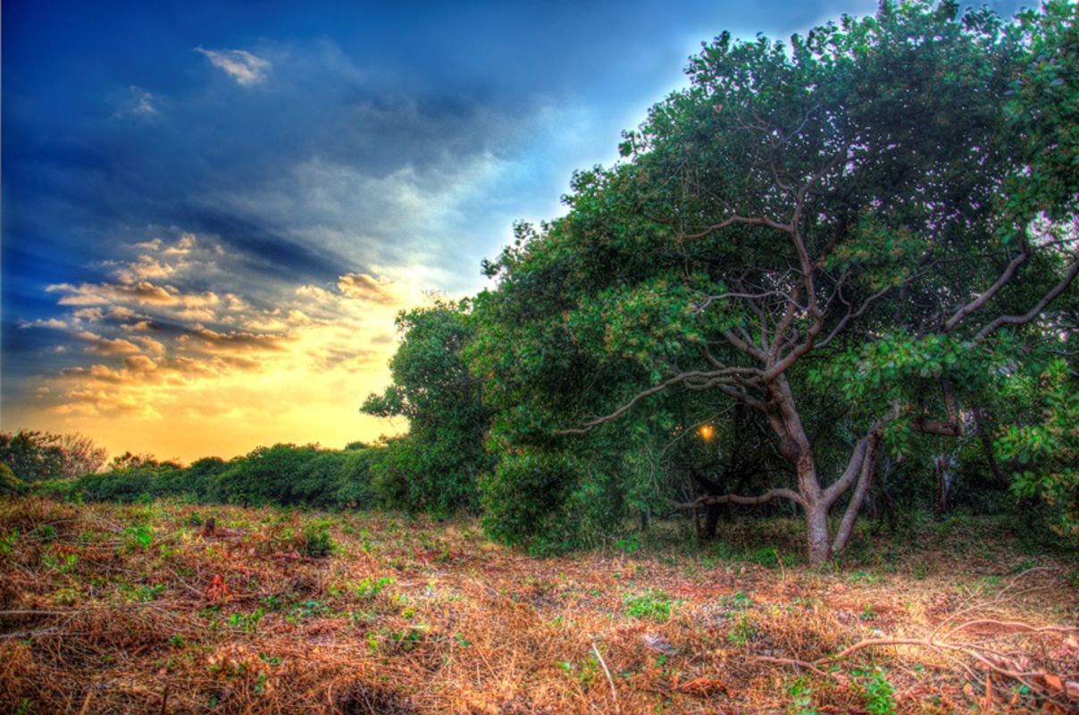 Capture the serene beauty of Banlung’s natural gem