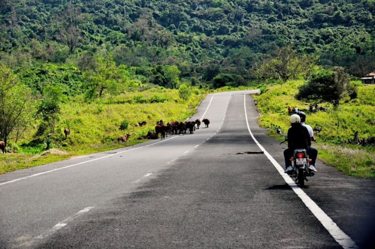 Discover adventure in Dong Nai’s jungle paradise