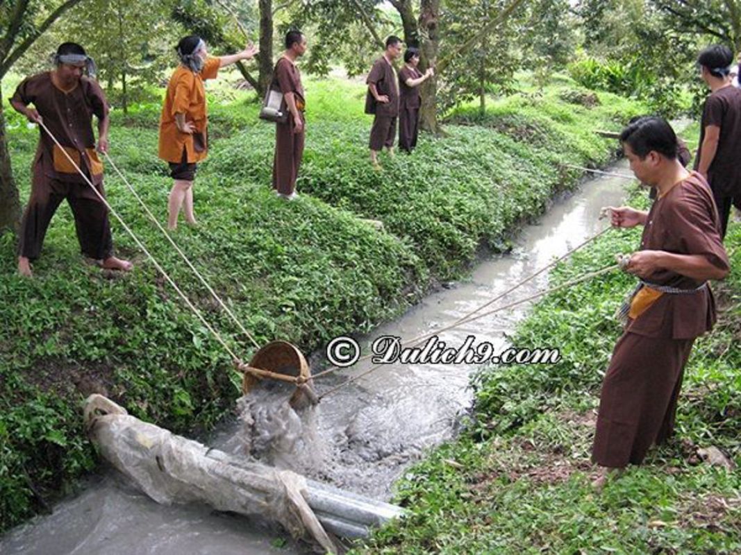 Embrace the vibrant spirit of Hau Giang Travel adventures