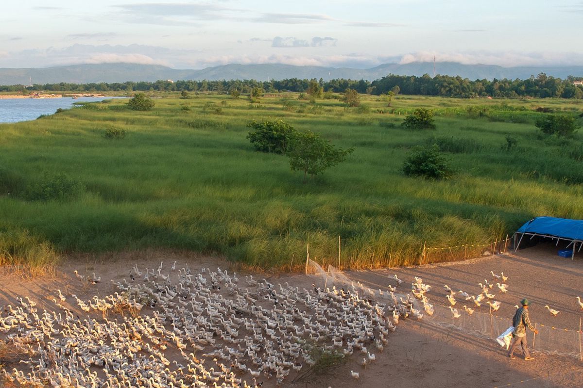 Start your Phu Yen Travel with serene vistas