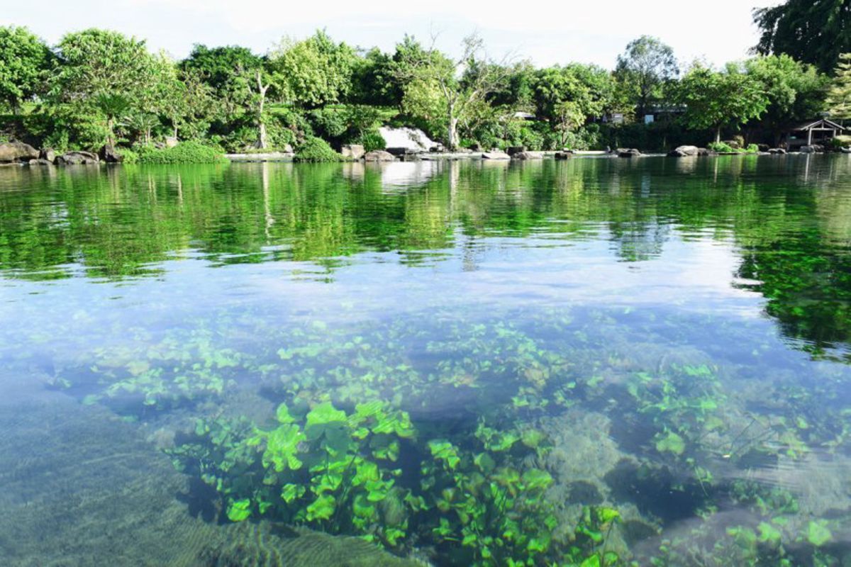Explore the lake on fun water activities