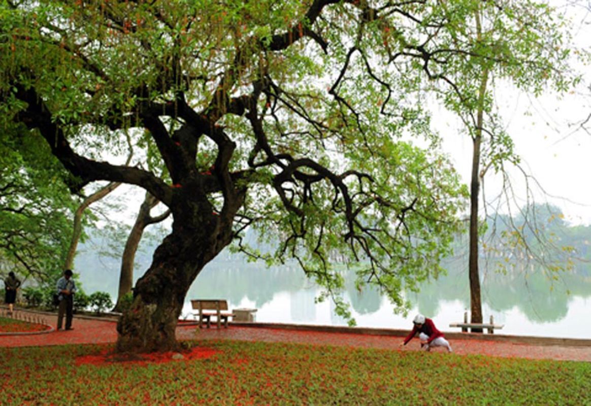 Embrace the vibrant spirit of Hanoi Travel adventures