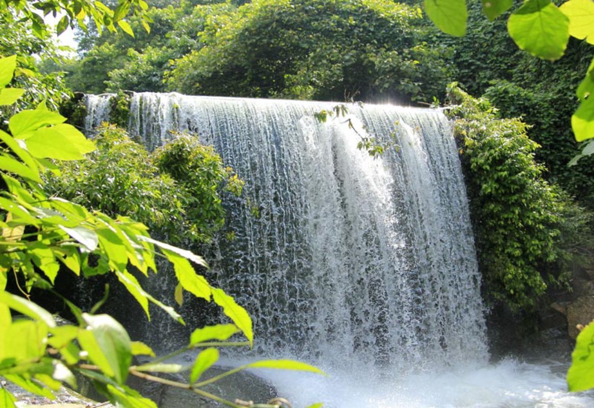 Dive into the relaxing charm of Hanoi Travel