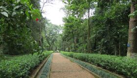 Dive into the reverent charm of K9 Đá Chông Travel