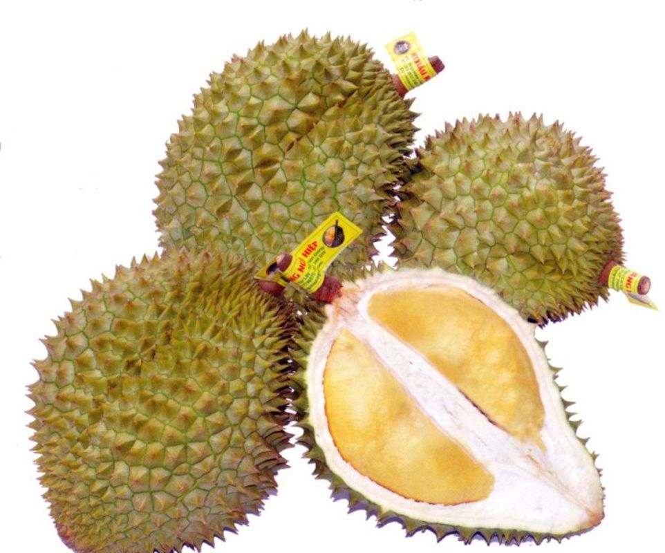 Capture the creamy essence of Tien Giang’s fruit gem