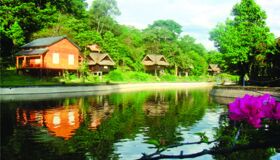 Photograph the lush allure of Ha Tinh’s landscapes