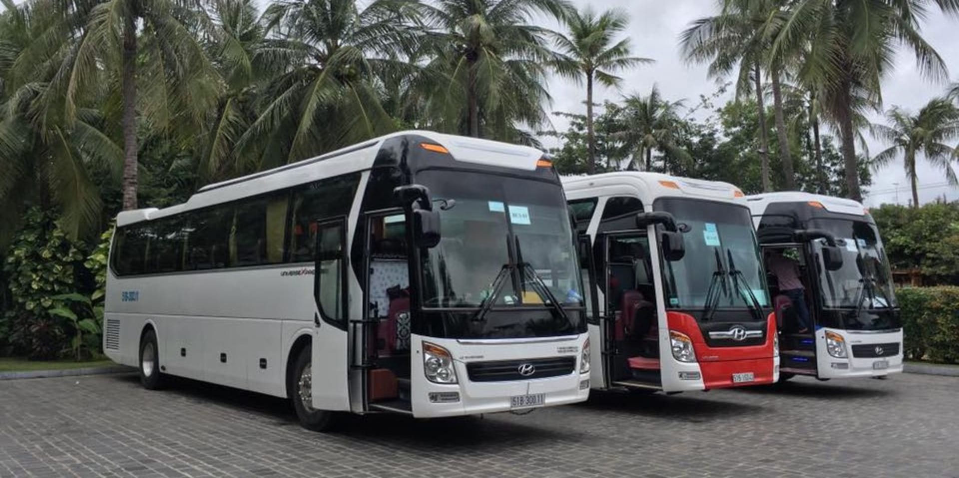 Dive into the adventurous charm of Vung Tau Travel