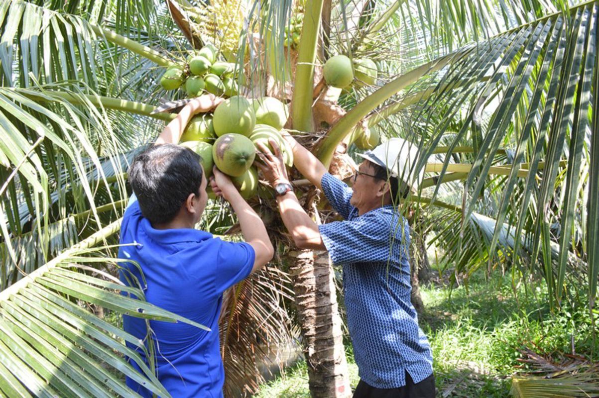 Photograph the sweet allure of Ben Tre’s cuisine