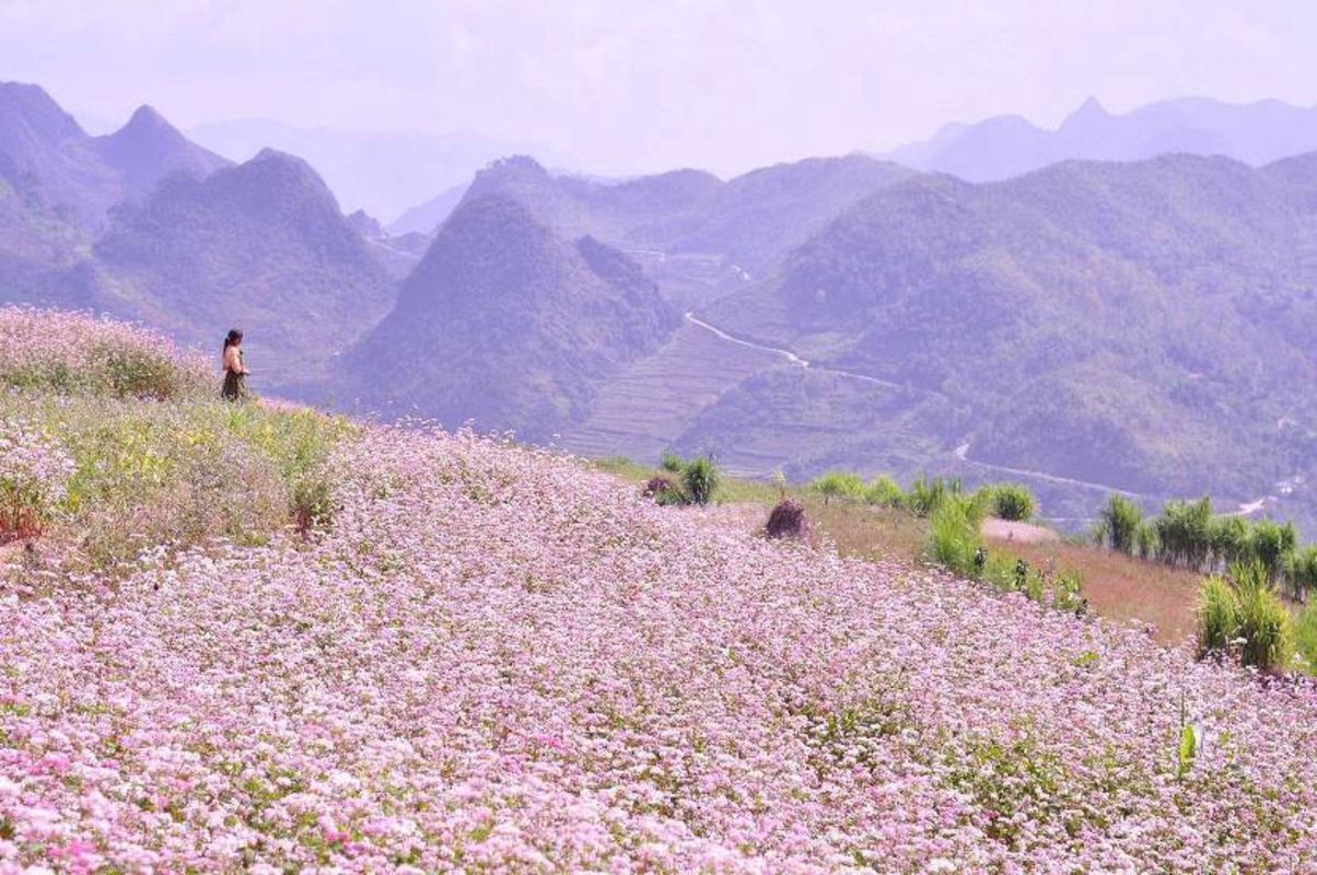 Start your Tuyen Quang Travel with serene vistas