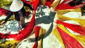 Dive into the festive charm of Thai Binh Travel