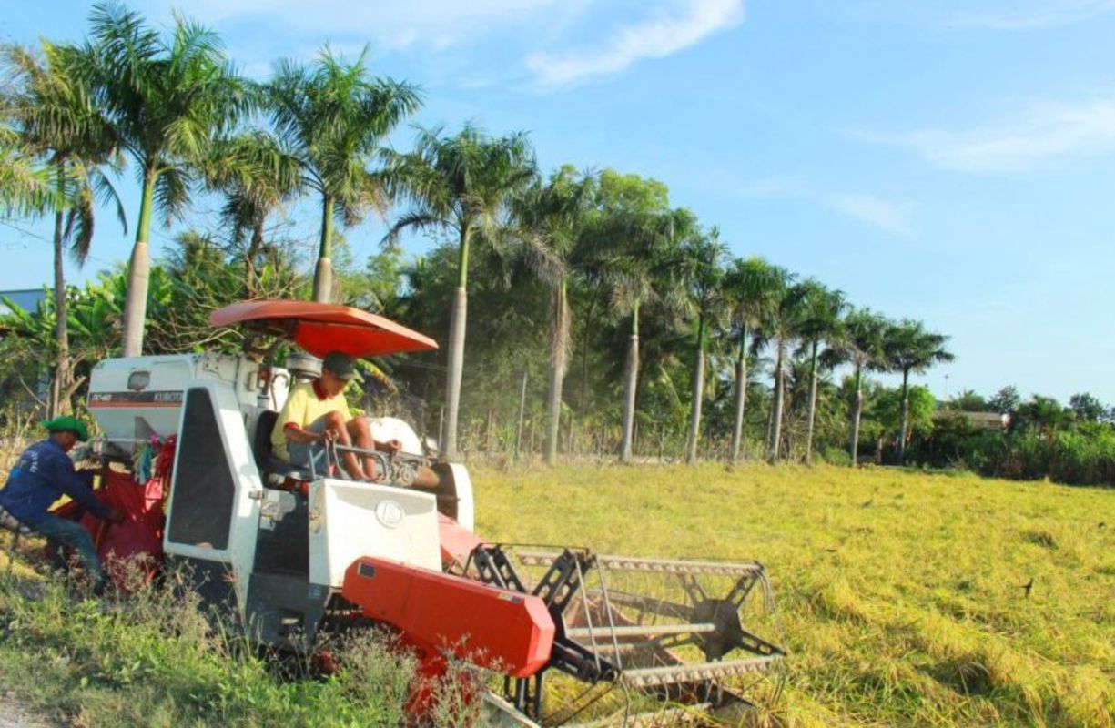 Experience Long An Tours with sustainable adventures