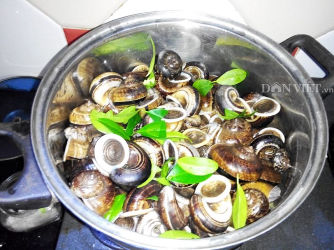 Capture the unique beauty of Ninh Binh’s culinary gem