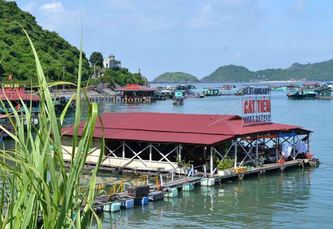 Capture the lively energy of Cat Ba’s cultural gem