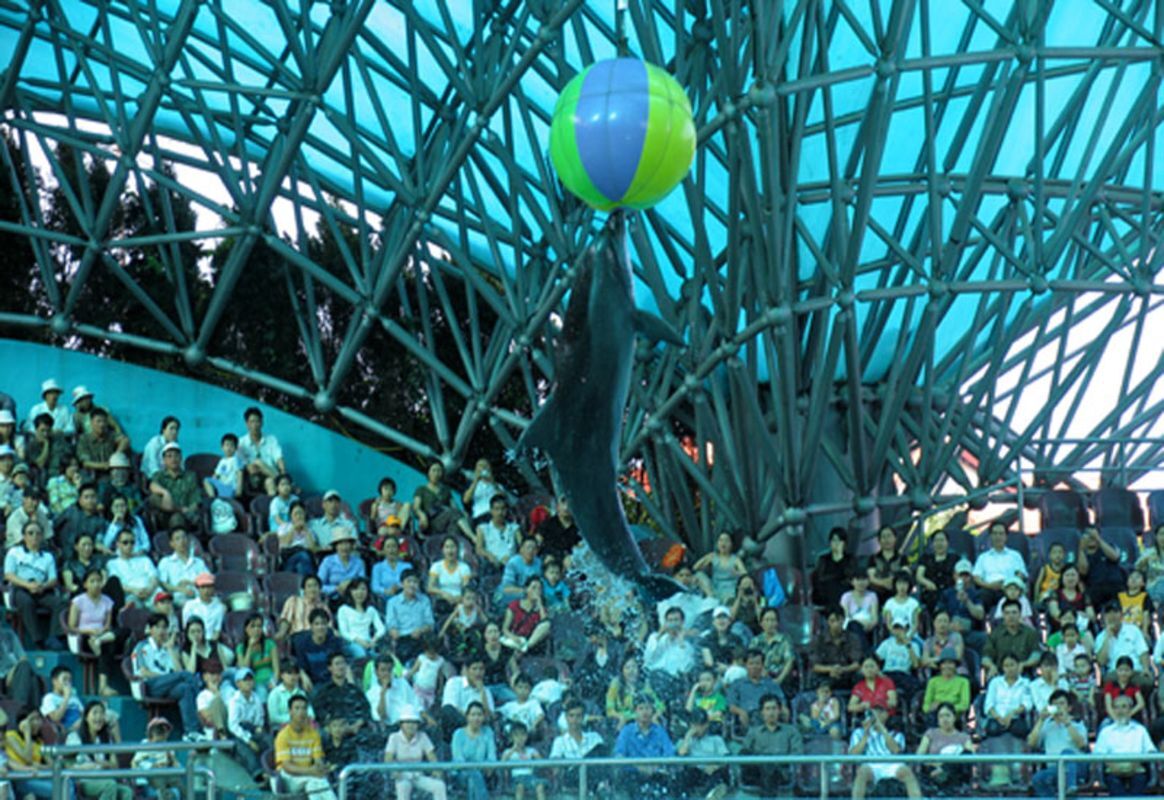 Photograph the cultural allure of Quang Ninh’s heritage