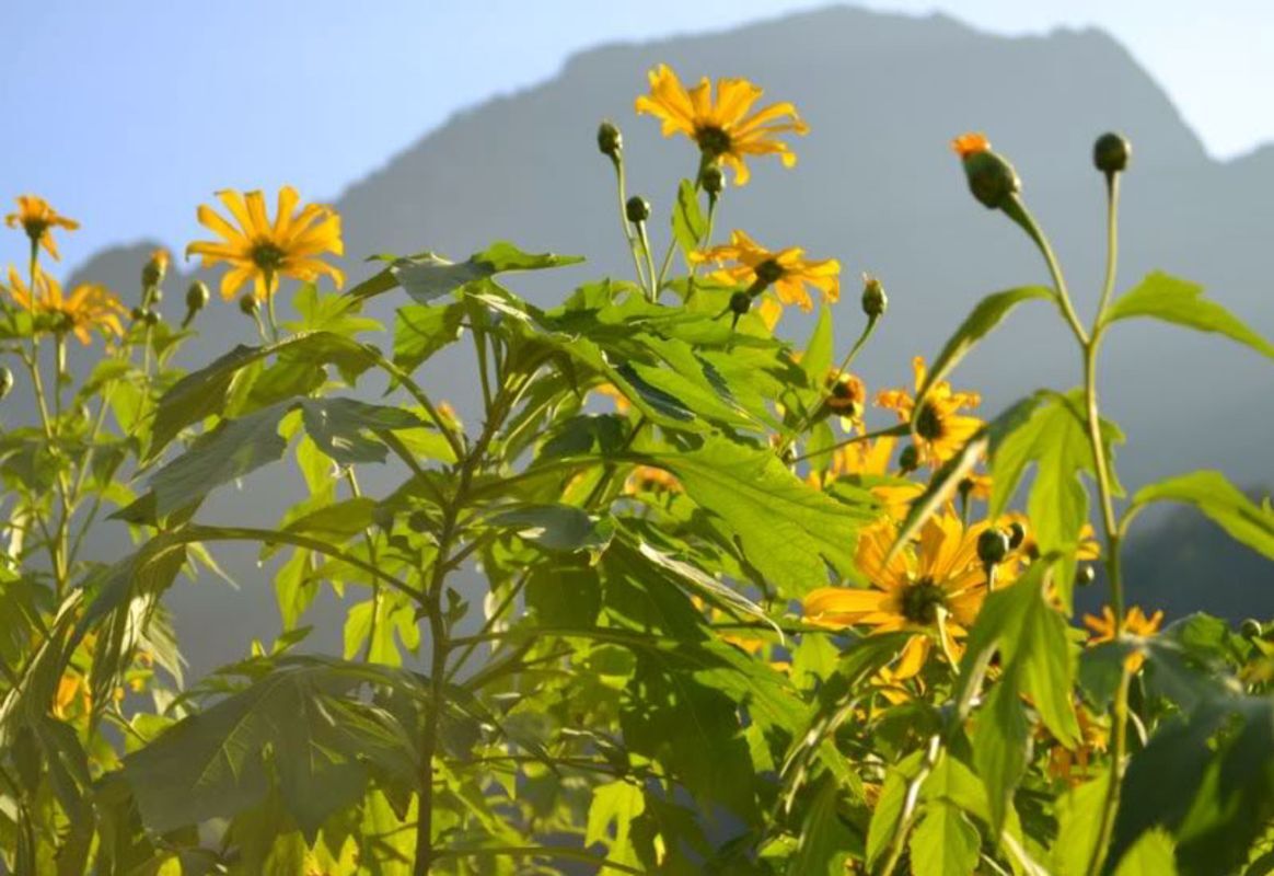 Embrace the vibrant spirit of Hanoi Travel adventures