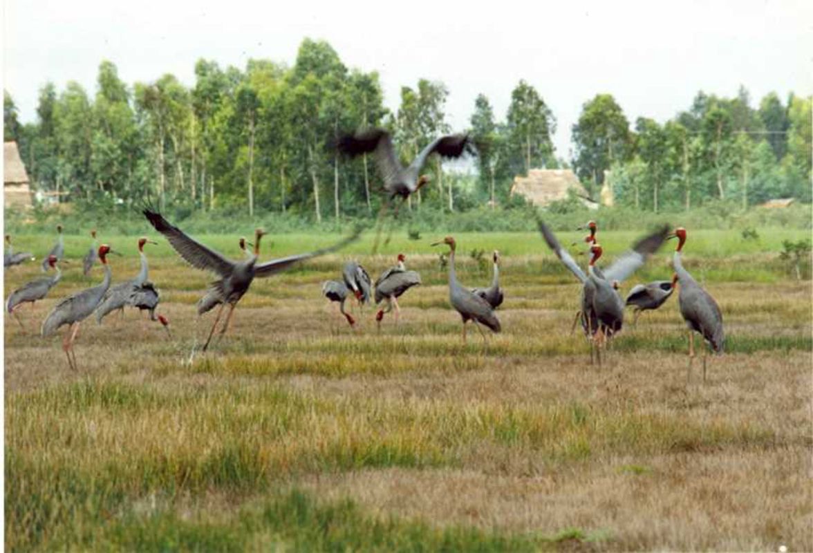 Experience Hau Giang Tours with sustainable adventures