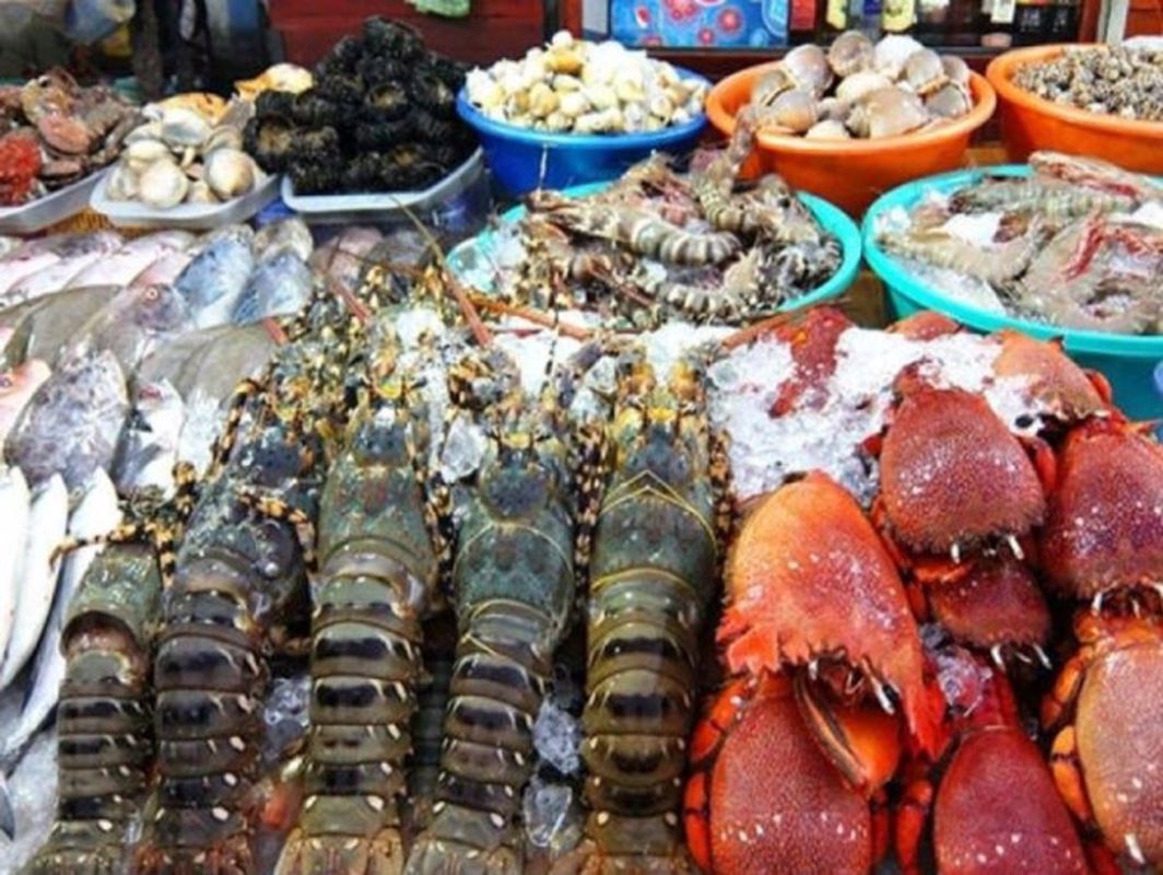 Dive into the flavorful charm of Vung Tau Travel