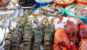 Dive into the flavorful charm of Vung Tau Travel