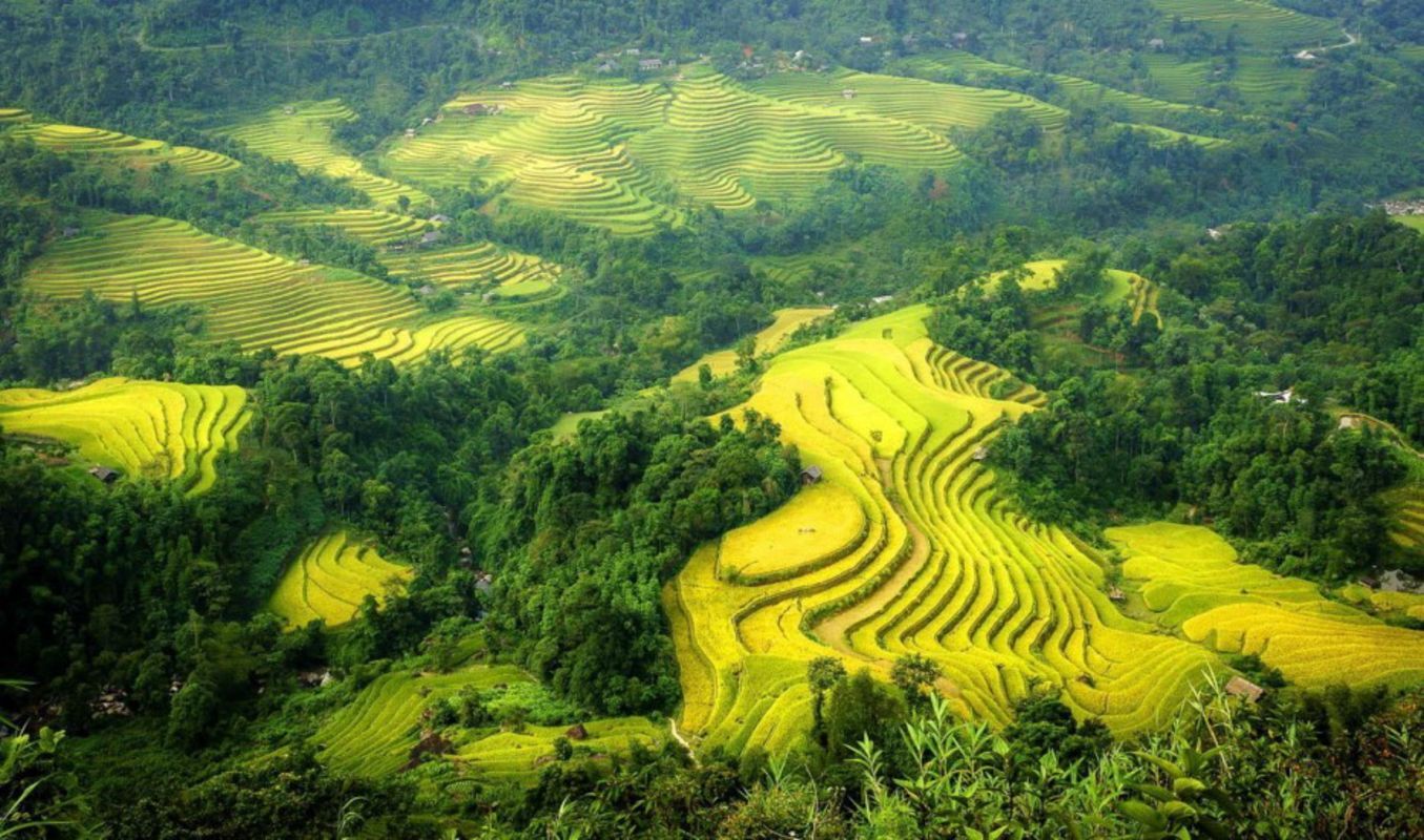Experience Hoang Su Phi Tours with sustainable adventures