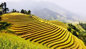 Dive into the vibrant charm of Hoang Su Phi Travel