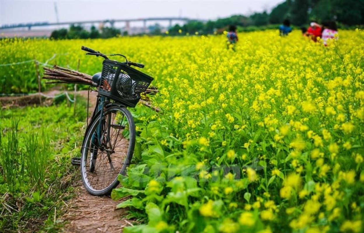 Experience Thai Binh Tours with sustainable adventures