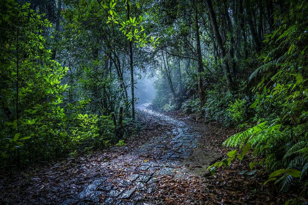 Capture the vibrant beauty of Vietnam with a visa for Bosnian travelers