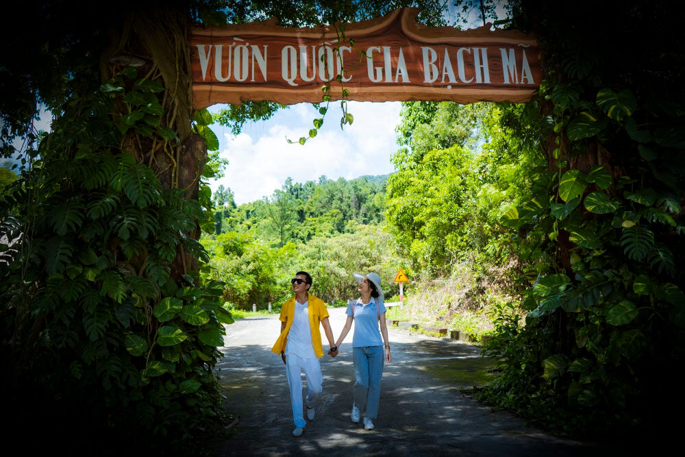 Capture the vibrant beauty of Vietnam with visa-free entry for Dutch travelers