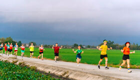 Capture the serene beauty of Hue’s countryside fields