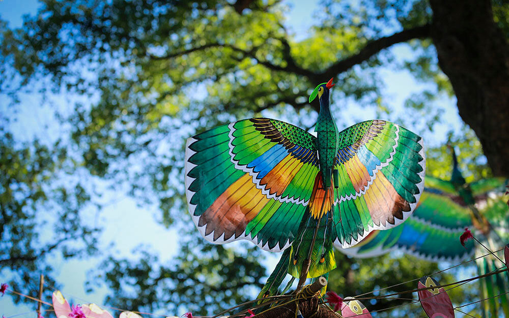 Start your visa-free journey with Vietnam’s vibrant glow