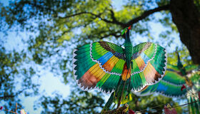 Immerse in Hue’s festive traditions