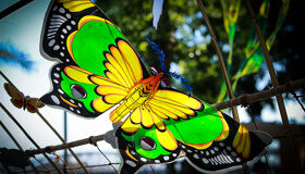 Capture the creative artistry of Hue’s kite-making